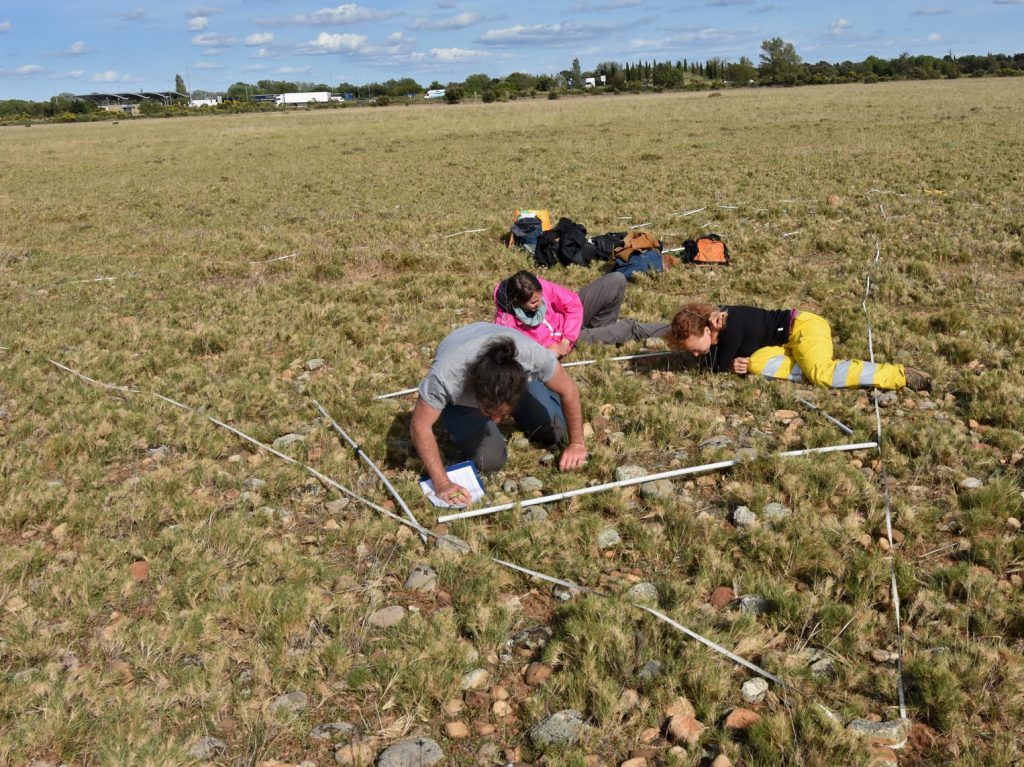 Relevé de végétation sur un coussouls (Plaine de la Crau) @Grégory Loucougaray
