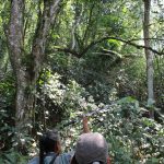 Fieldwork activities in Silva Jardim, RJ - Brazil