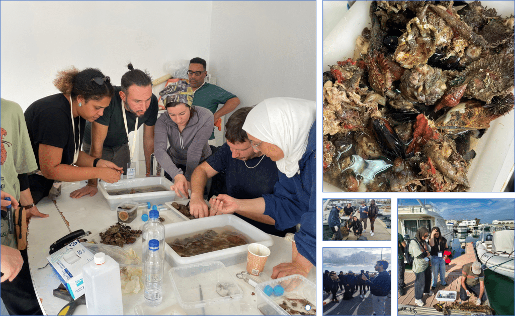 NEMO Ecole de Terrain