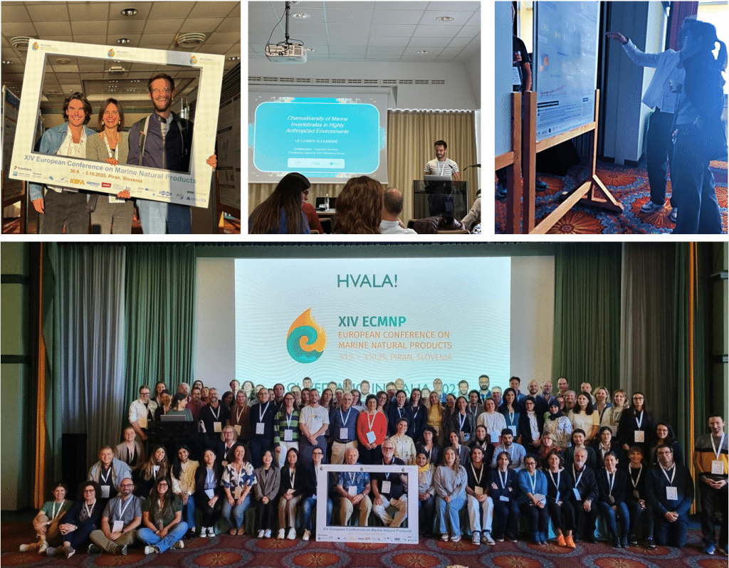 La team des chimistes de NEMO à l'ECMNP 2025