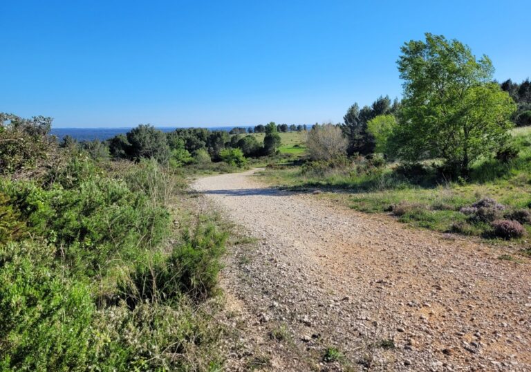 Site de Roquerousse à Lambesc (13)