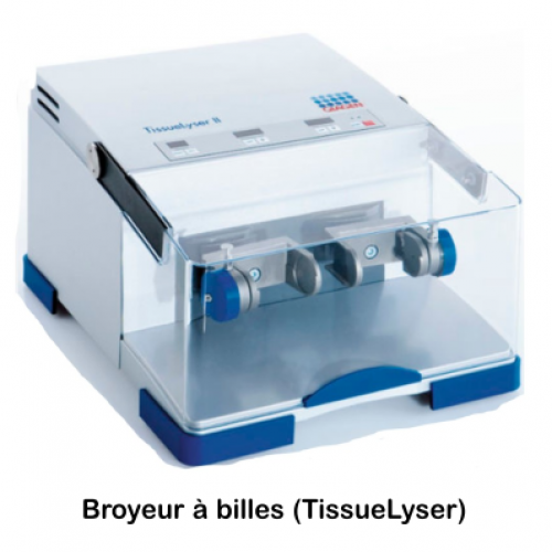 Broyeur billes2