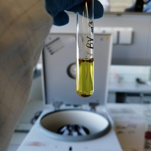 Tube à essai_ Extraction de couleur