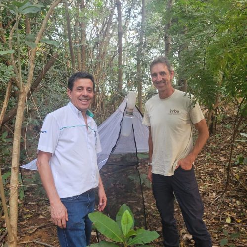 Échantillonnage d'insectes par tente Malaise, Brésil.