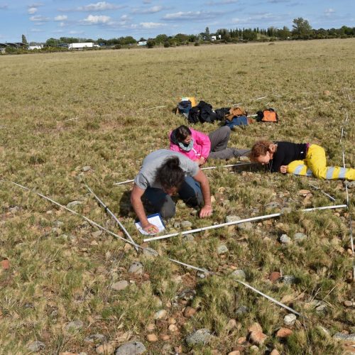 Relevé de végétation sur un coussouls (Plaine de la Crau) @Grégory Loucougaray