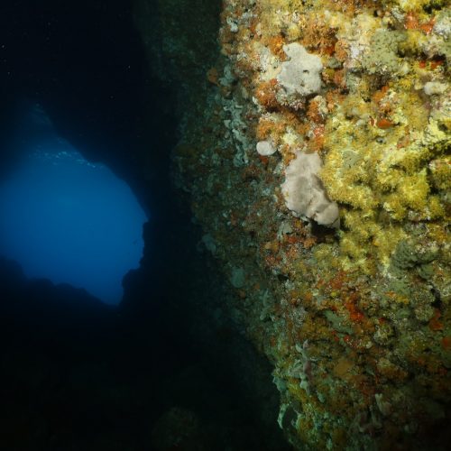 Grotte Sous-Marine by Thierry Pérez