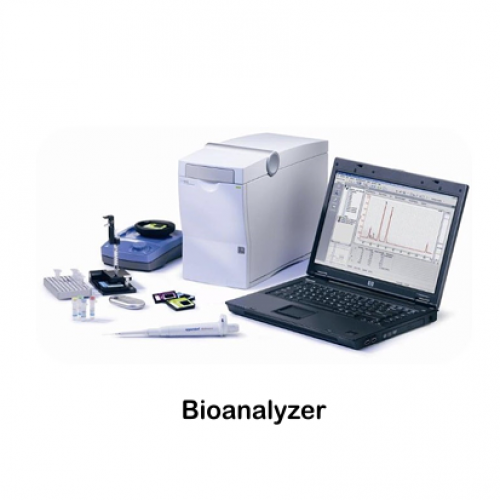 bioanalyzer2