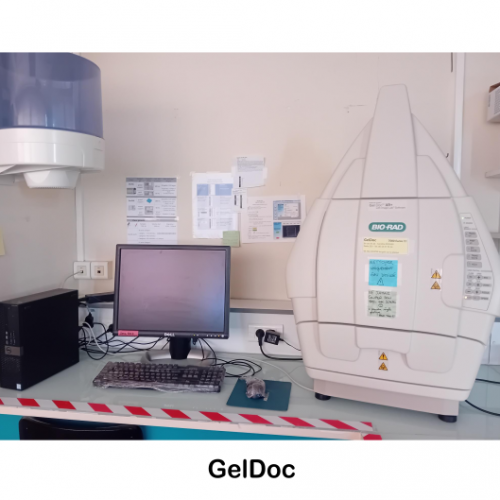 geldoc2