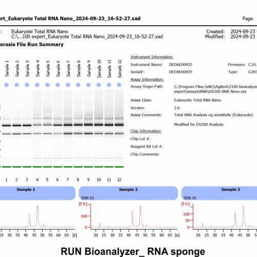 run bioanalyser
